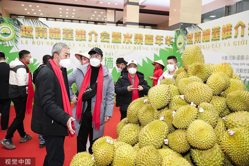 Sầu riêng Việt Nam tại một sự kiện quảng bá ở Thiên Tân (Trung Quốc) ngày 13/1. Ảnh: VCG