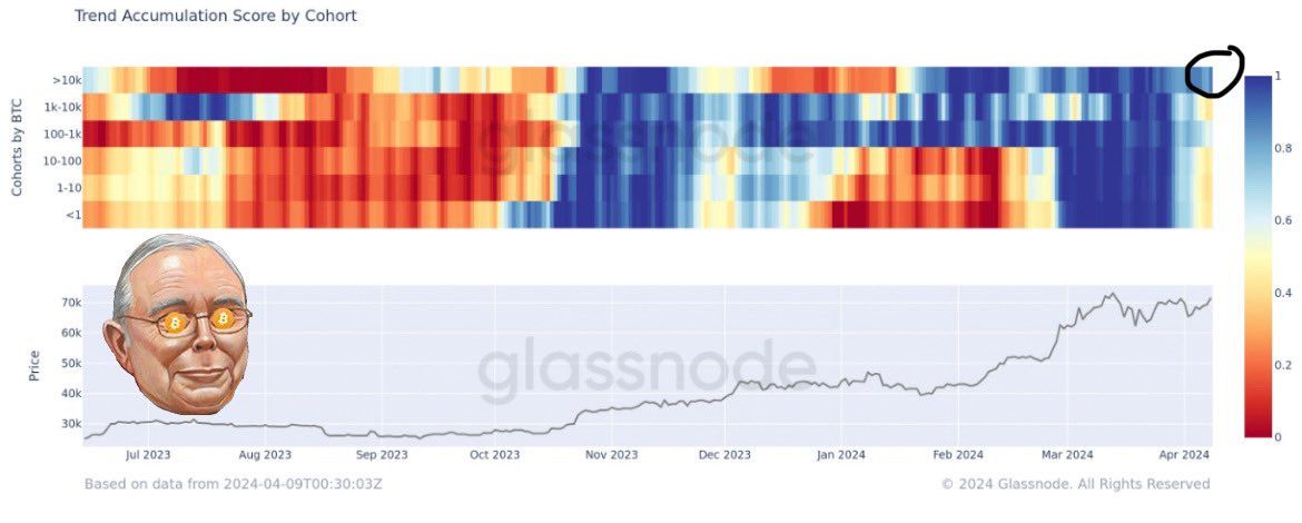 trend accumulation bitcoin jpg optimal