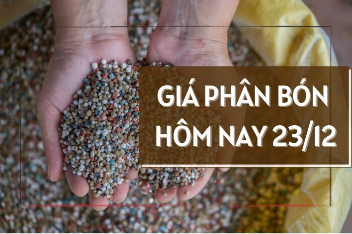 23 20231222133230633